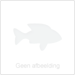 Laatste wedstrijd Wintercup