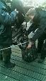IMG-20160110-WA0003 (Small)