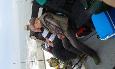 20160611 182043 (Medium)