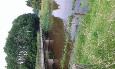 20160603 152122 (Medium)