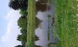 20160603 152130 (Medium)
