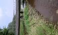 20160603 153514 (Medium)