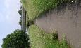 20160603 153540 (Medium)