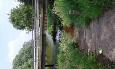 20160603 154056 (Medium)