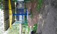 20160603 154137 (Medium)