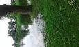 20160627 095233 (Medium)