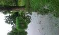 20160627 095303 (Medium)