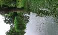 20160627 163232 (Medium)