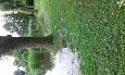 20160627 163310 (Medium)