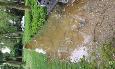 20160627 163319 (Medium)