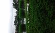 20160627 163355 (Medium)
