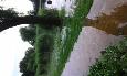 20160628 095311 (Medium)