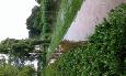 20160628 095320 (Medium)