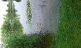 20160628 102601 (Medium)