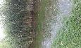 20160628 162748 (Medium)
