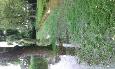 20160629 110336 (Medium)