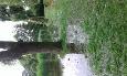 20160629 110356 (Medium)