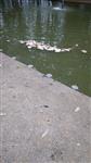 Houd uw visplek schoon