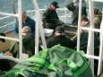 Zee vissen ms.de tender groningen 5-4-2009 (2) (Medium)